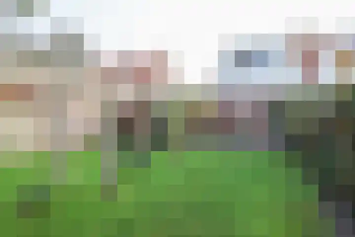 Julianastraat 7 Arum thumbnail 47