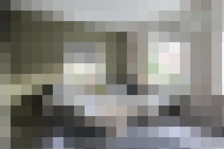 Julianastraat 7 Arum thumbnail 7