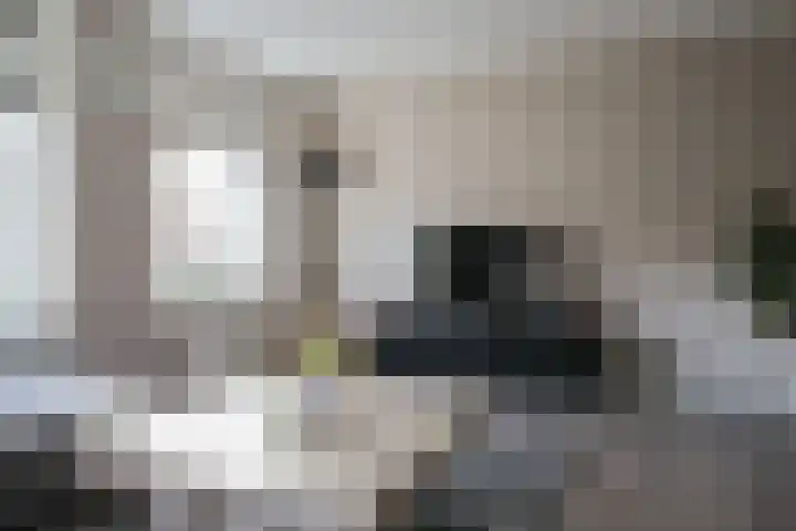 Julianastraat 7 Arum thumbnail 8