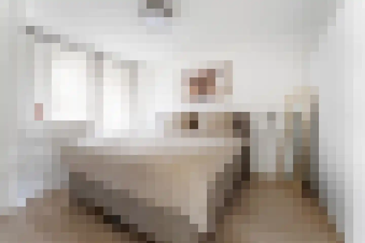 Julianastraat 7 B 3 Brunssum thumbnail 11
