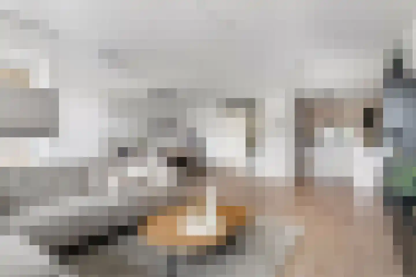 Julianastraat 7 B 3 Brunssum thumbnail 6