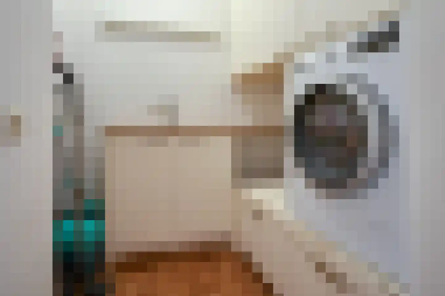 Julianastraat 7 Beilen thumbnail 11