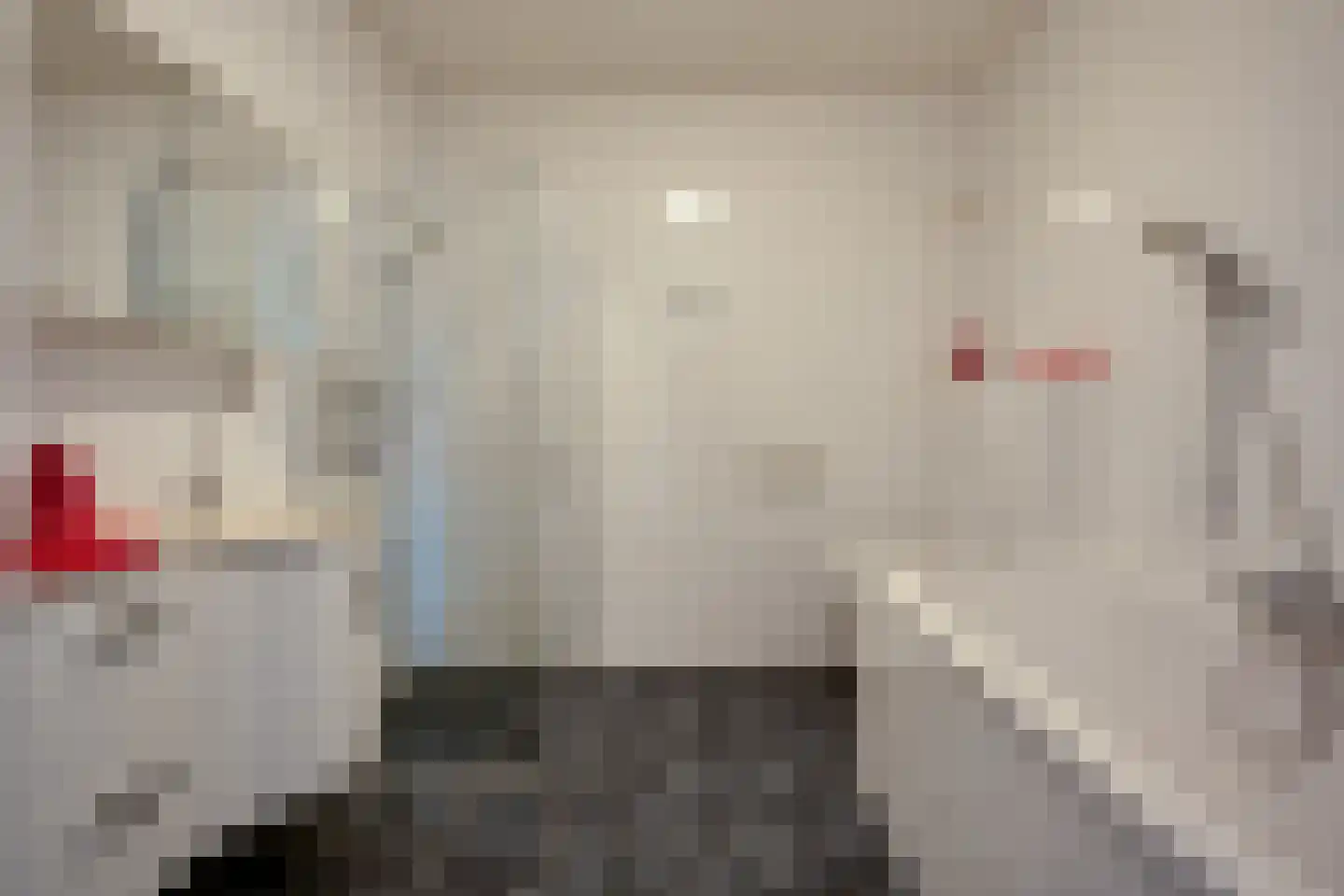 Julianastraat 7 Beilen thumbnail 19