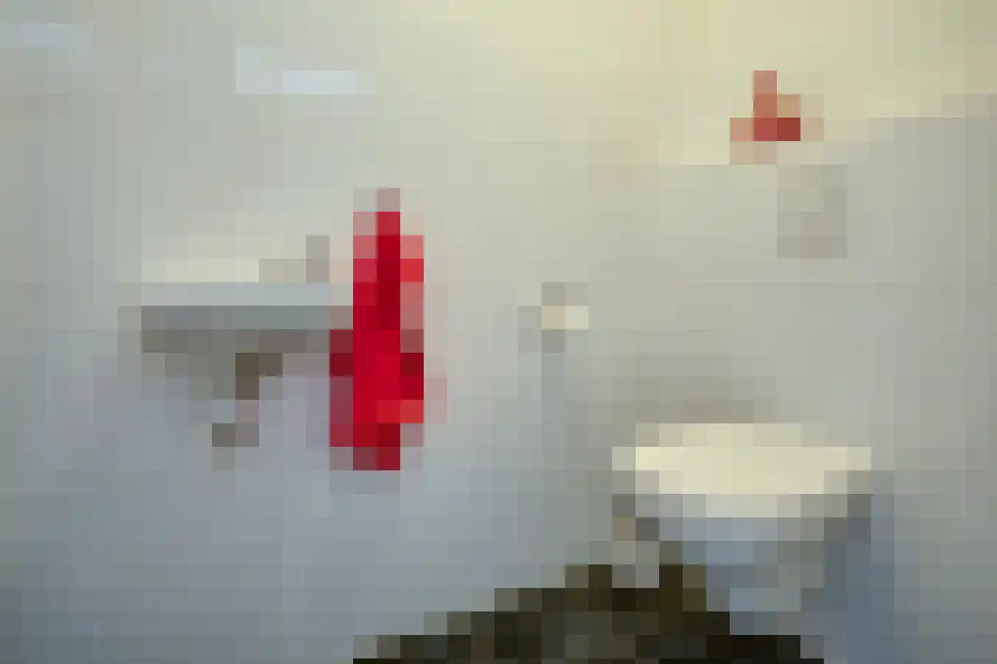 Julianastraat 7 Beilen thumbnail 21