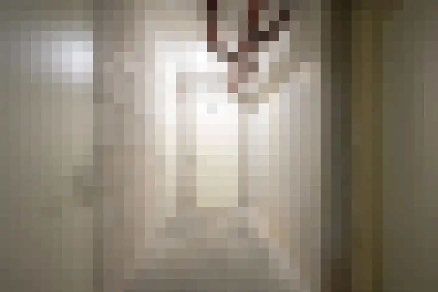 Julianastraat 7 Beilen thumbnail 24