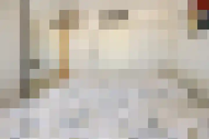 Julianastraat 7 Beneden-Leeuwen thumbnail 14