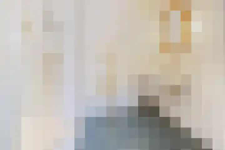 Julianastraat 7 Beneden-Leeuwen thumbnail 15