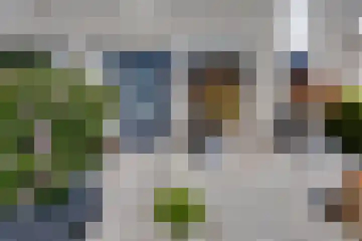 Julianastraat 7 Beneden-Leeuwen thumbnail 26