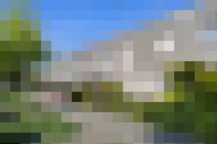 Julianastraat 7 Beneden-Leeuwen thumbnail 28