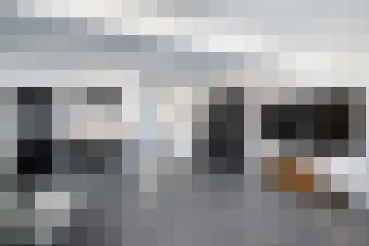 Julianastraat 7 Hellevoetsluis thumbnail 18