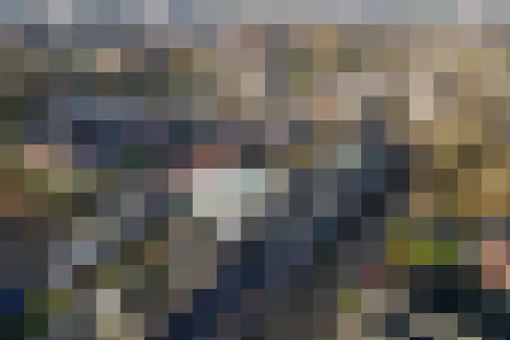 Julianastraat 7 Hellevoetsluis thumbnail 29