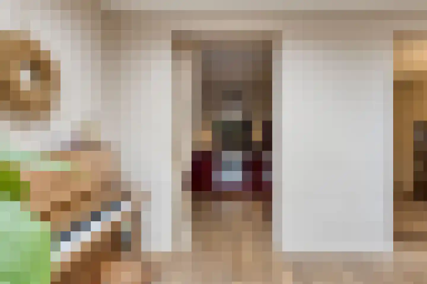Julianastraat 7 Leende thumbnail 13