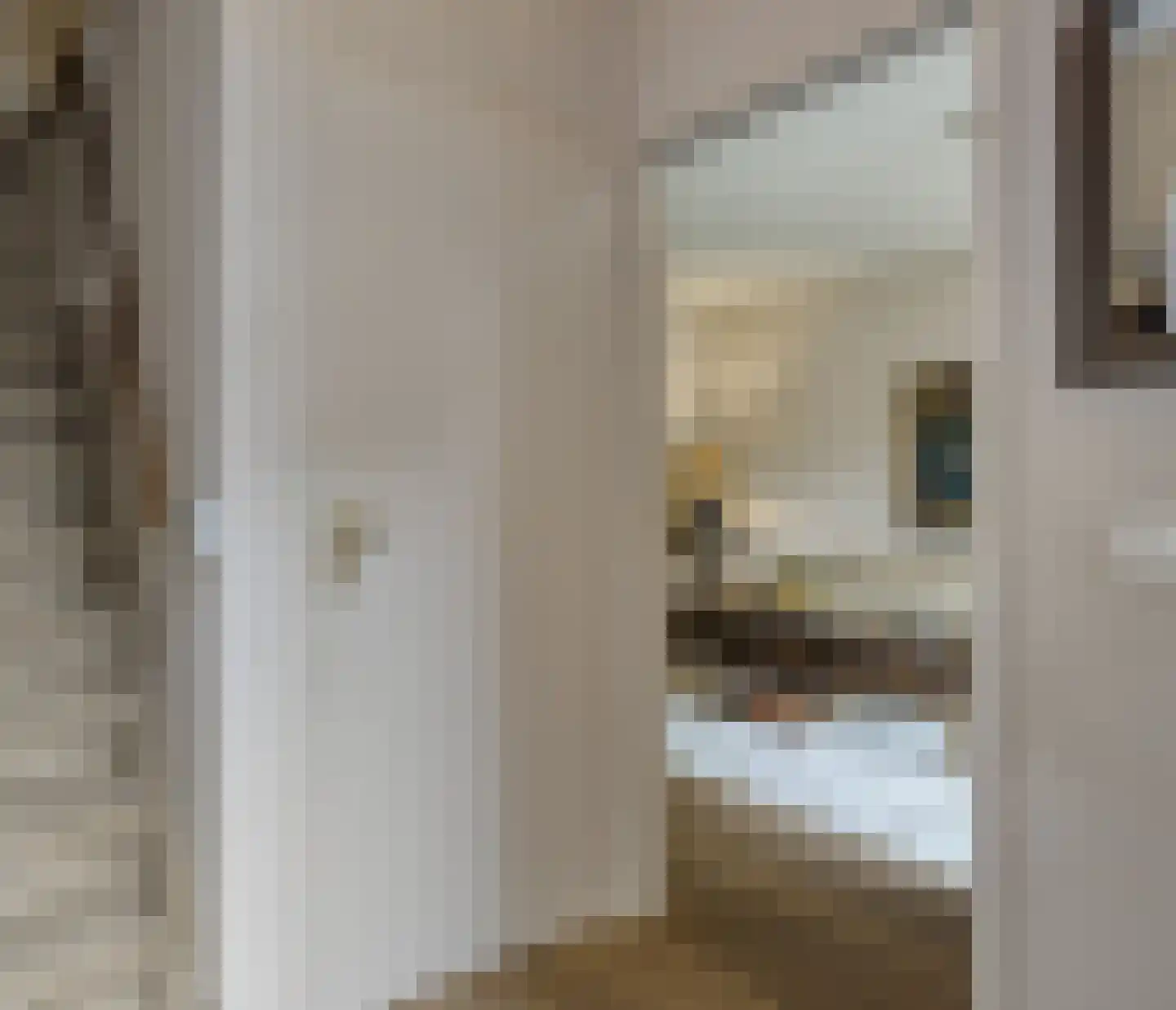 Julianastraat 7 Leende thumbnail 17