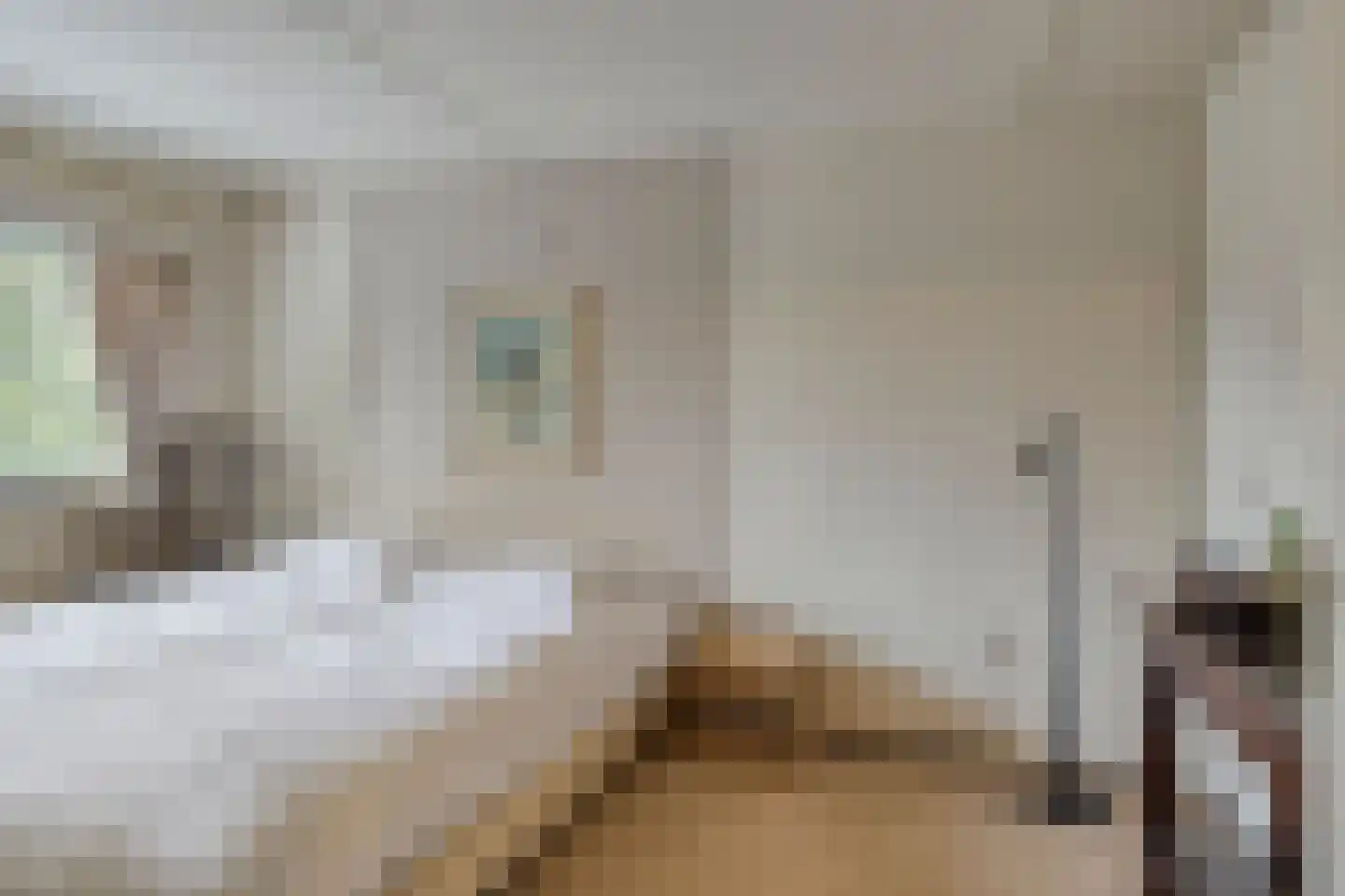 Julianastraat 7 Leende thumbnail 19