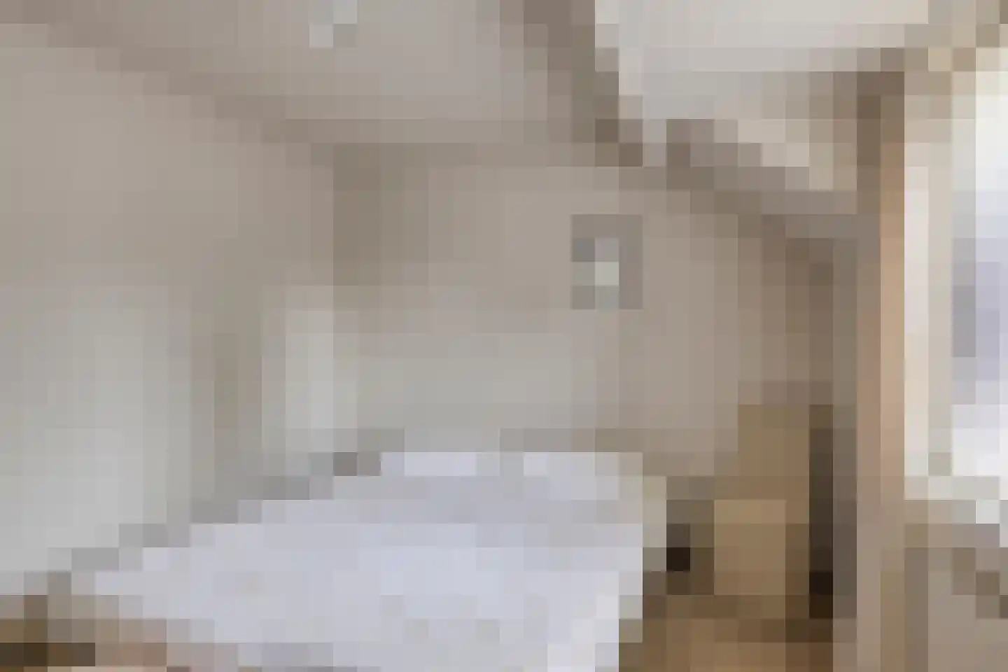Julianastraat 7 Leende thumbnail 22