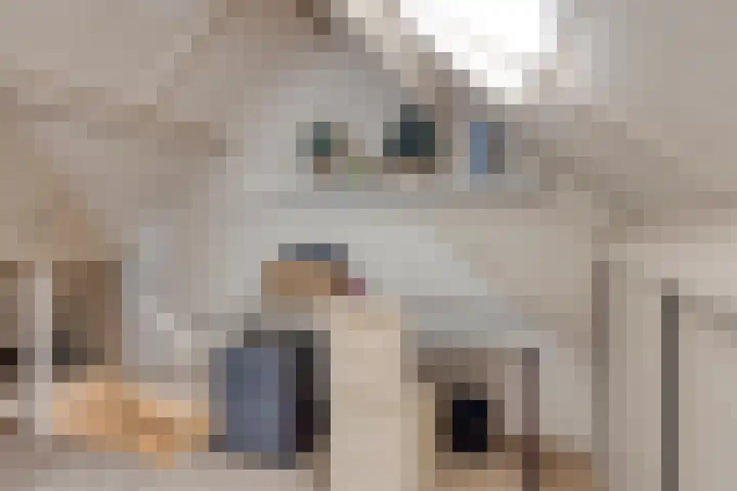 Julianastraat 7 Leende thumbnail 27