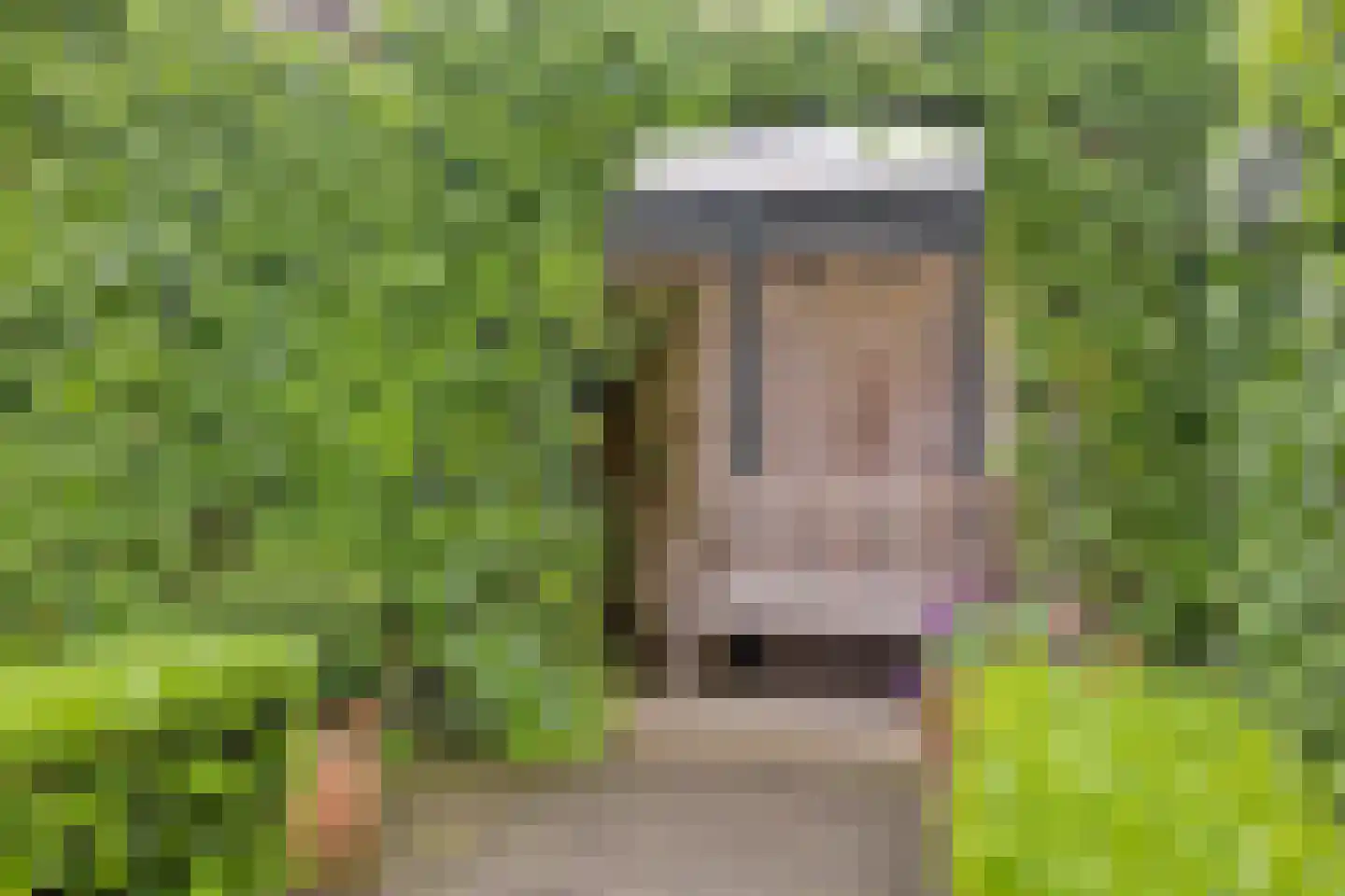 Julianastraat 7 Leende thumbnail 30