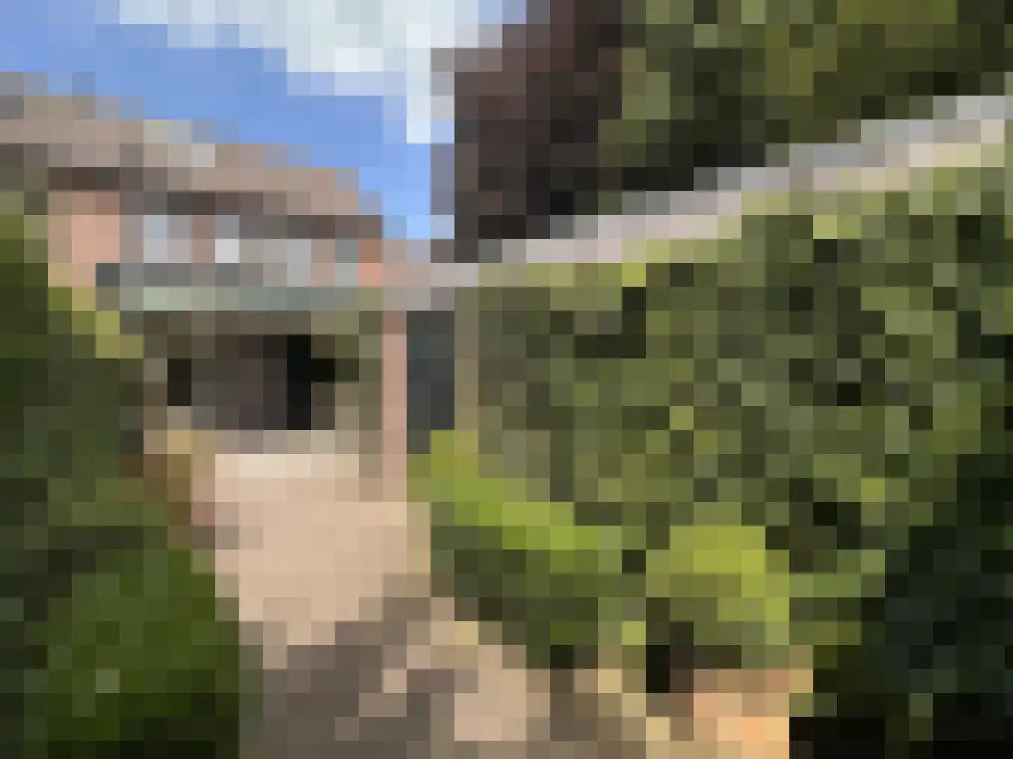 Julianastraat 7 Leende thumbnail 31