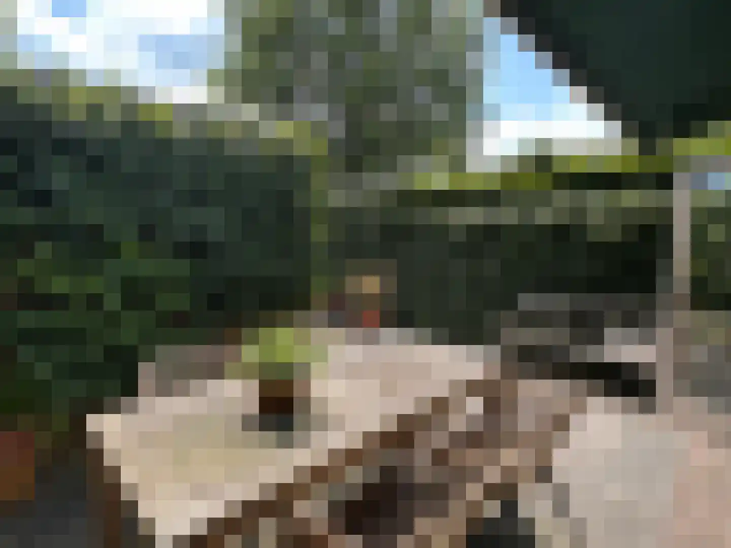 Julianastraat 7 Leende thumbnail 32