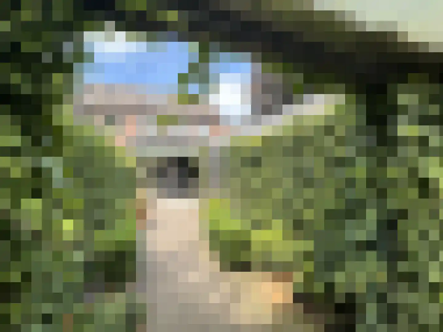 Julianastraat 7 Leende thumbnail 4