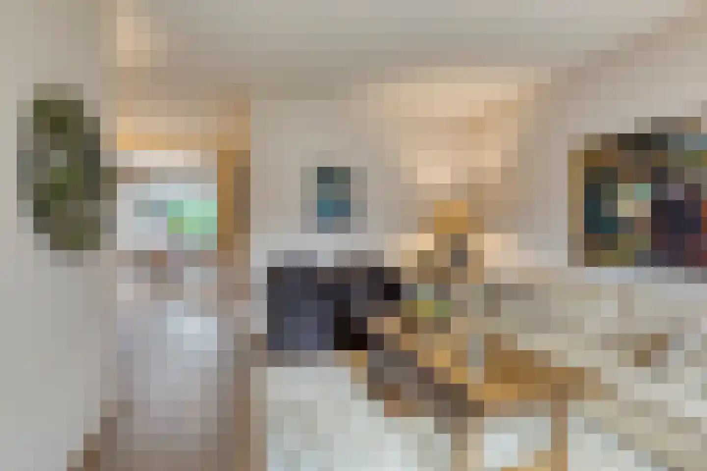 Julianastraat 7 Leende thumbnail 5