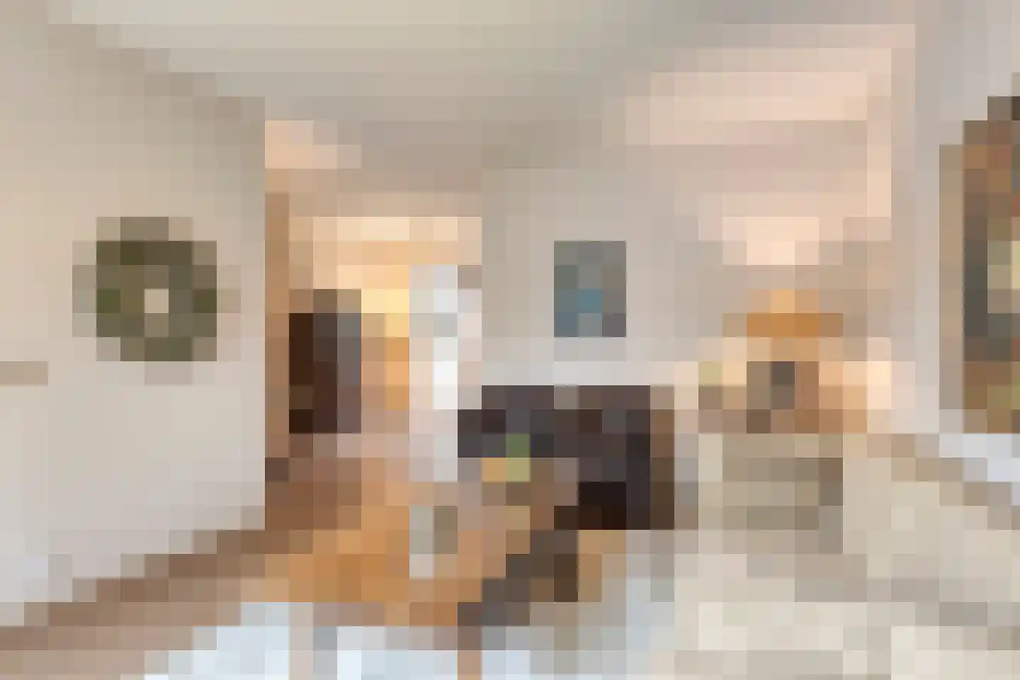 Julianastraat 7 Leende thumbnail 7