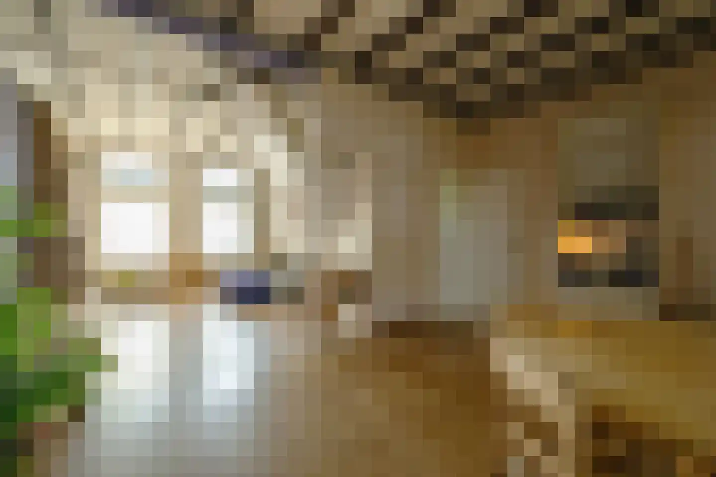 Julianastraat 7 Leerdam thumbnail 7
