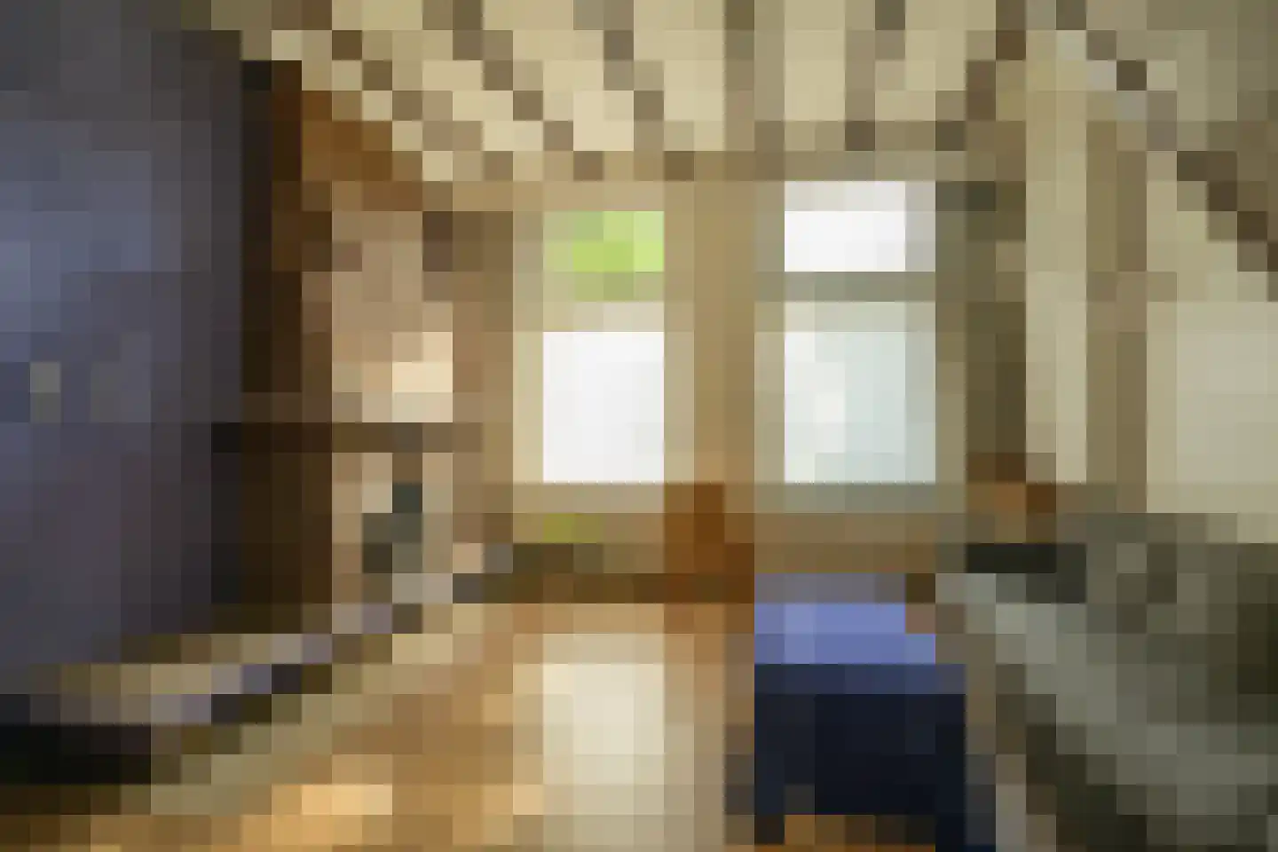 Julianastraat 7 Leerdam thumbnail 9