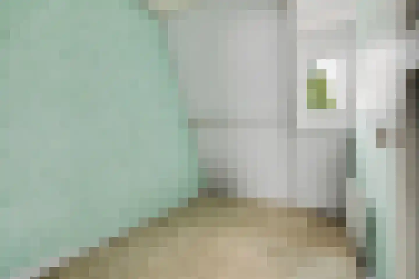 Julianastraat 7 Overdinkel thumbnail 21