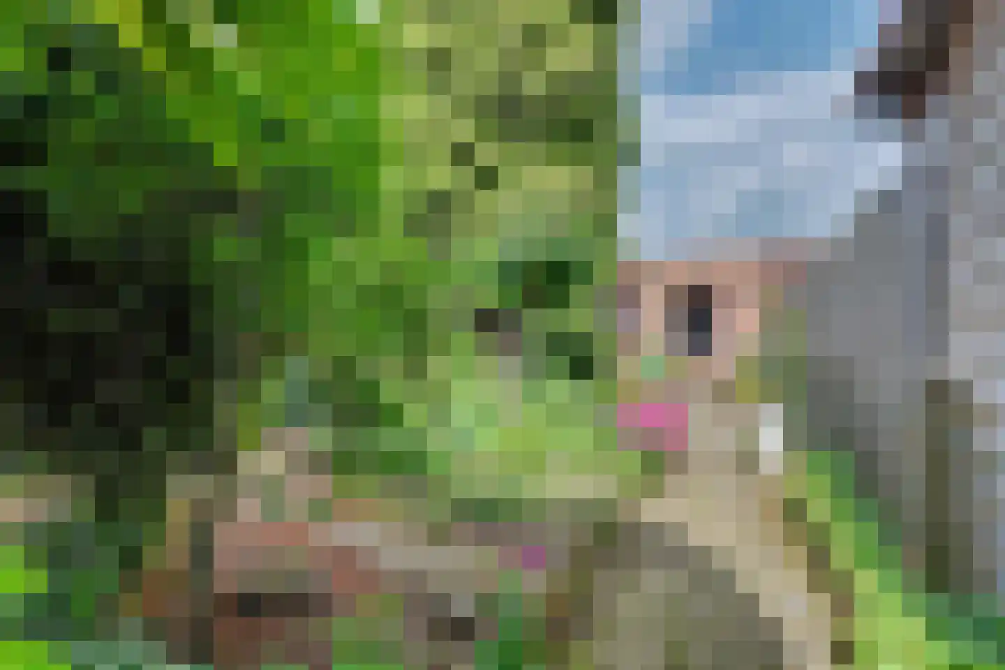 Julianastraat 7 Overdinkel thumbnail 26
