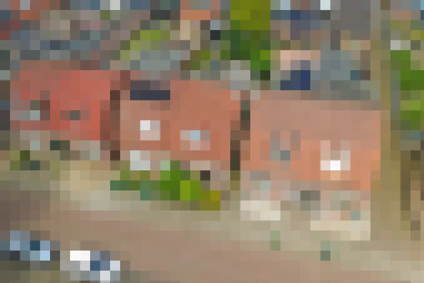 Julianastraat 7 Overdinkel thumbnail 28