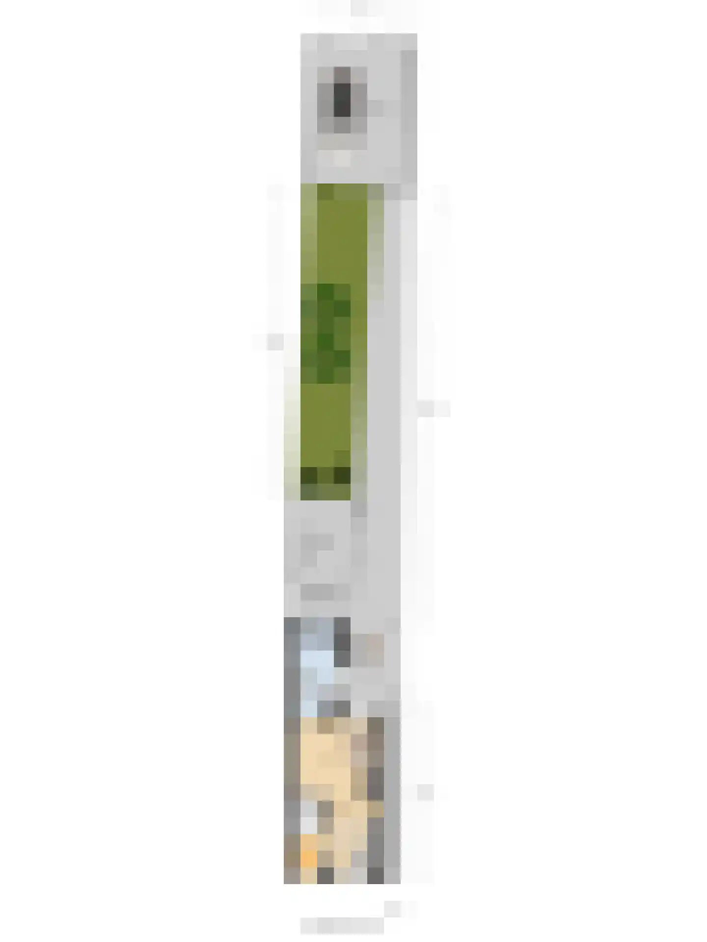Julianastraat 7 Overdinkel thumbnail 37