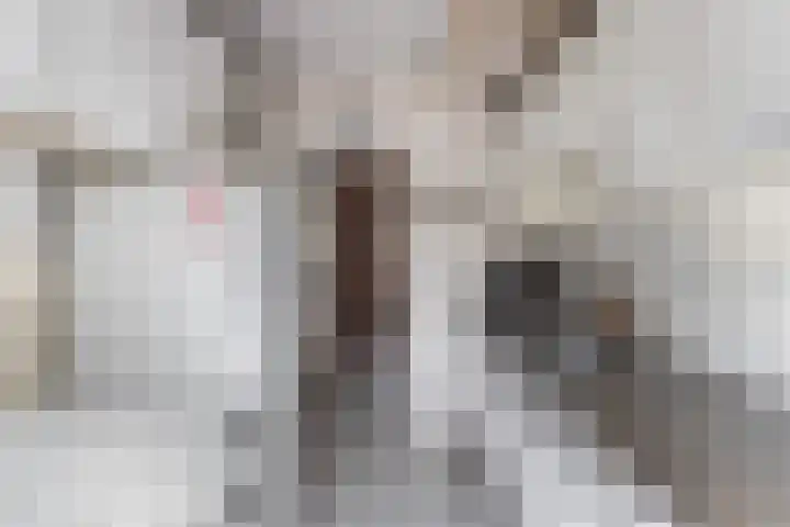 Julianastraat 7 Rhoon thumbnail 16