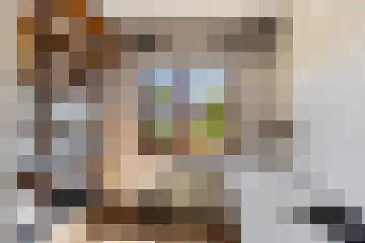 Julianastraat 7 Rhoon thumbnail 23