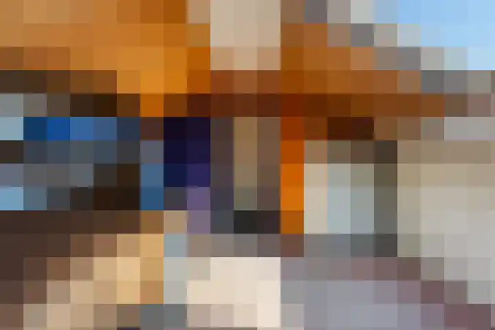 Julianastraat 7 Rhoon thumbnail 28