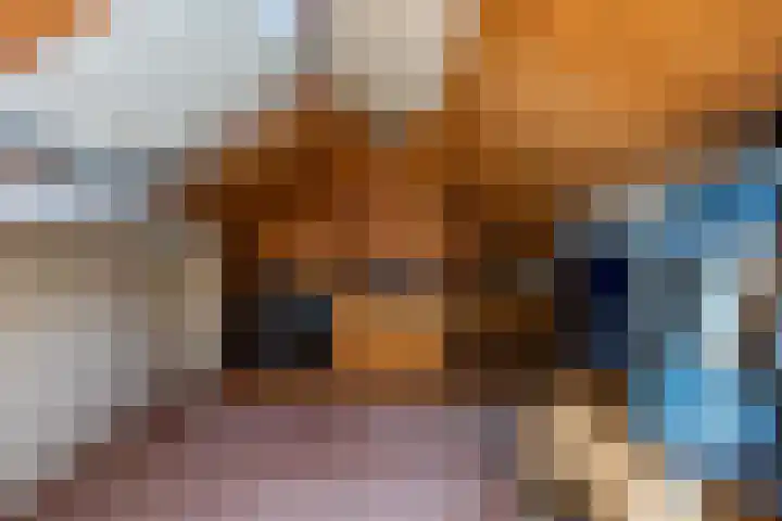 Julianastraat 7 Rhoon thumbnail 29