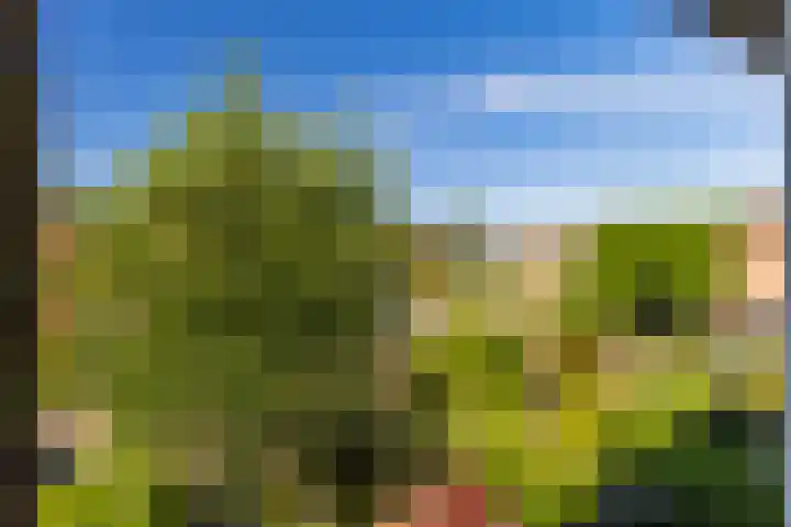 Julianastraat 7 Rhoon thumbnail 30