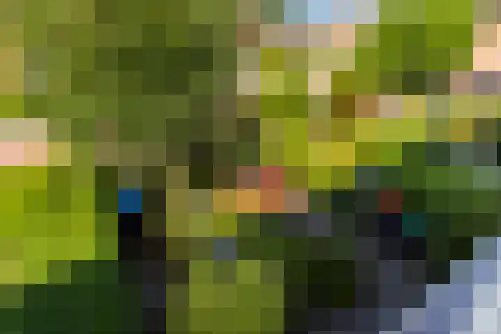 Julianastraat 7 Rhoon thumbnail 31