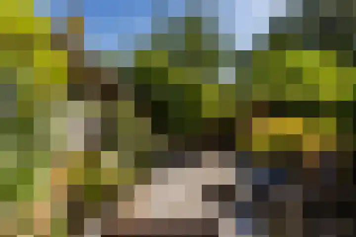 Julianastraat 7 Rhoon thumbnail 32