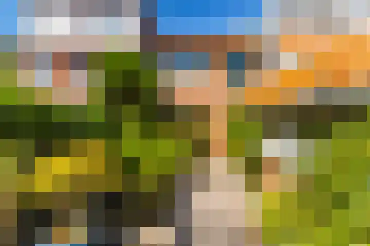 Julianastraat 7 Rhoon thumbnail 33