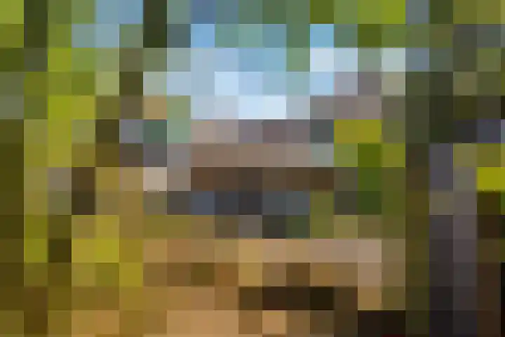 Julianastraat 7 Rhoon thumbnail 35