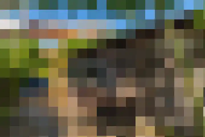 Julianastraat 7 Rhoon thumbnail 36