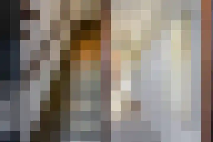 Julianastraat 7 Rhoon thumbnail 4