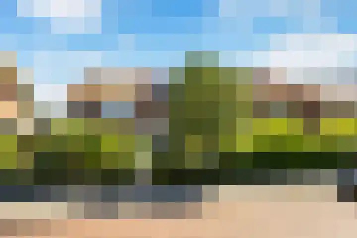 Julianastraat 7 Rhoon thumbnail 42