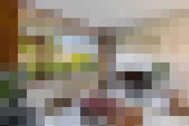 Julianastraat 7 Rhoon thumbnail 9