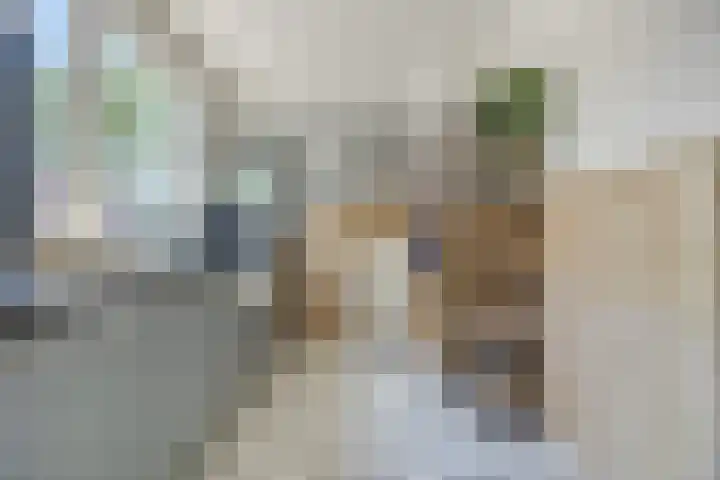 Julianastraat 7 Waspik thumbnail 12