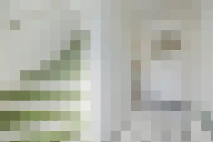 Julianastraat 7 Waspik thumbnail 18
