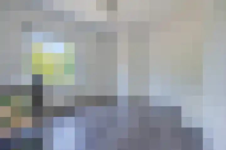 Julianastraat 7 Waspik thumbnail 25
