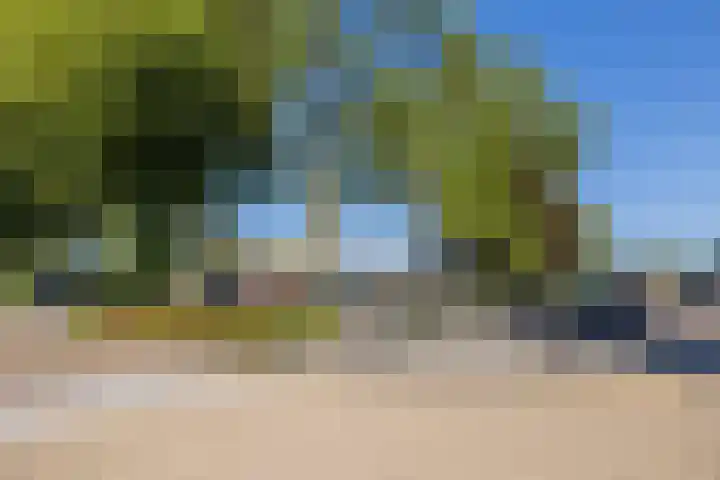 Julianastraat 7 Waspik thumbnail 43