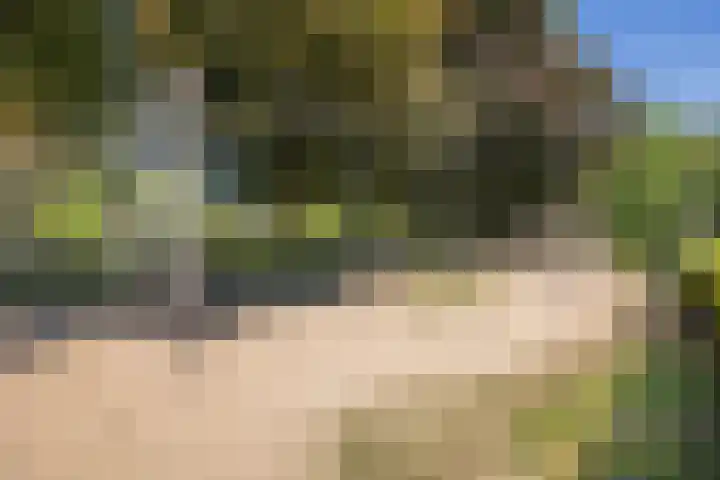 Julianastraat 7 Waspik thumbnail 44